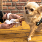 Toallitas húmedas para mascotas TopK9 - 20 unidades - Imagen 2