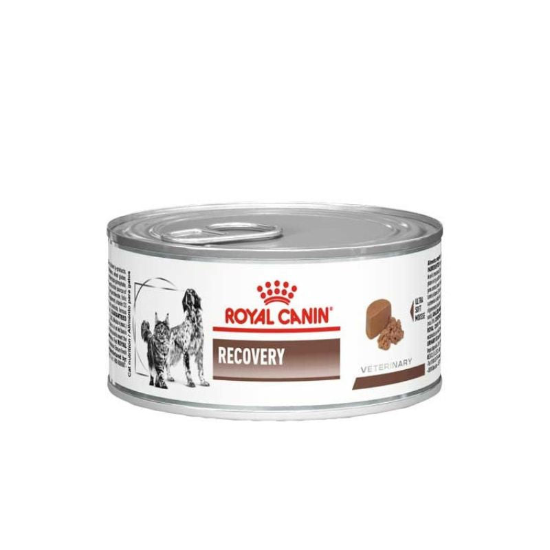 17 Lata Royal Canin Recovery Gatos/Perros (145 gr.) - Imagen 1