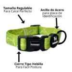Collar perro Petlounge - Chic Green XS/S - Imagen 3