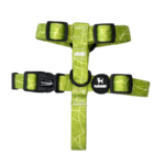 Arnés para perro en H - Chic Green L/XL