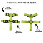 Arnés para perro en H - Chic Green L/XL - Imagen 3