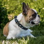 Collar perro Petlounge - Vaquita M - Imagen 2