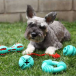 Juguete para perros BRNX! Anillo de goma - Imagen 2