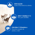 Cat Chow comida Gatitos 8 Kg. - Imagen 2