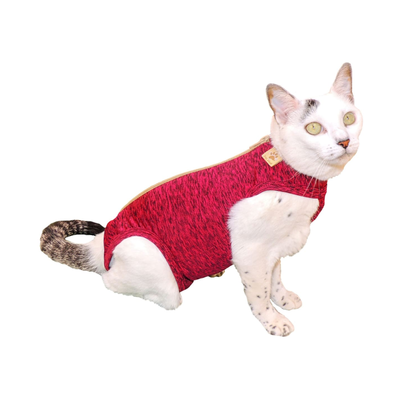 FOTOS SIN FONDO (1) Body Quirúrgico Gatos - Talla 5 (7 a 9 KG.) - Imagen 1