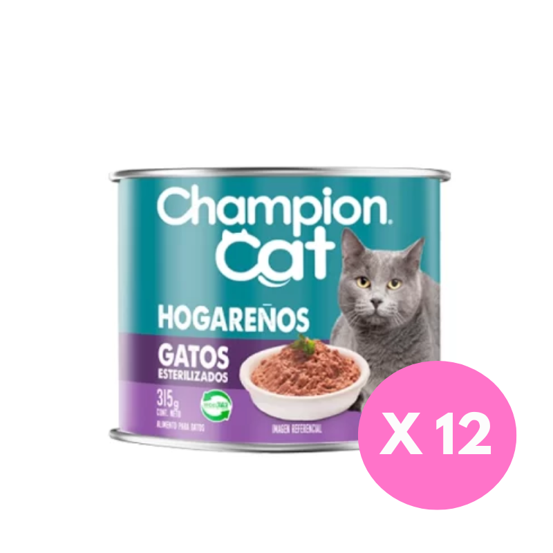 FOTOS SIN FONDO (7) Pack 12 Latas Champion Cat Recetas de Paté Hogareños - Salmón - Imagen 1
