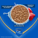 Pouch Cat Chow - Gatos Adultos - Sabor Carne (85 gr.) - Imagen 2