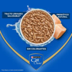 Pouch Cat Chow - Gatos Adultos - Sabor Pollo (85 gr.) - Imagen 2