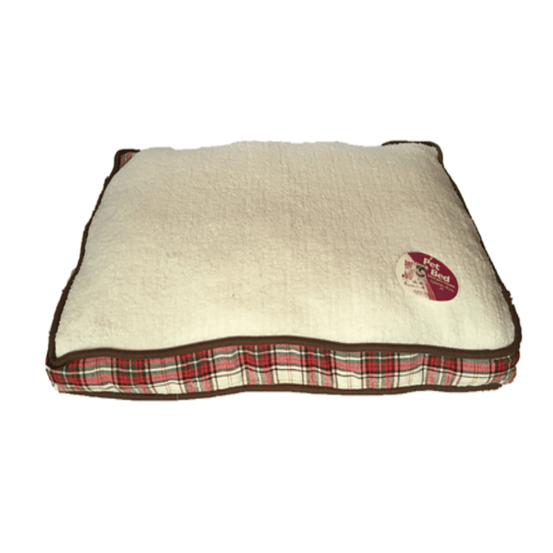 FOTOS SIN FONDO (8) Cama Colchon para mascotas Con Chiporro - Imagen 1